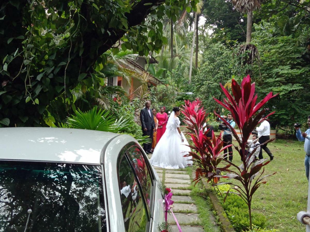 Country Side Inn Portuguese Guest House Cuelim Ngoại thất bức ảnh